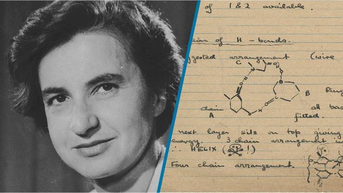 Rosalind Franklin: la pionera olvidada de la doble hélice del ADN | Bayer  Cono Sur