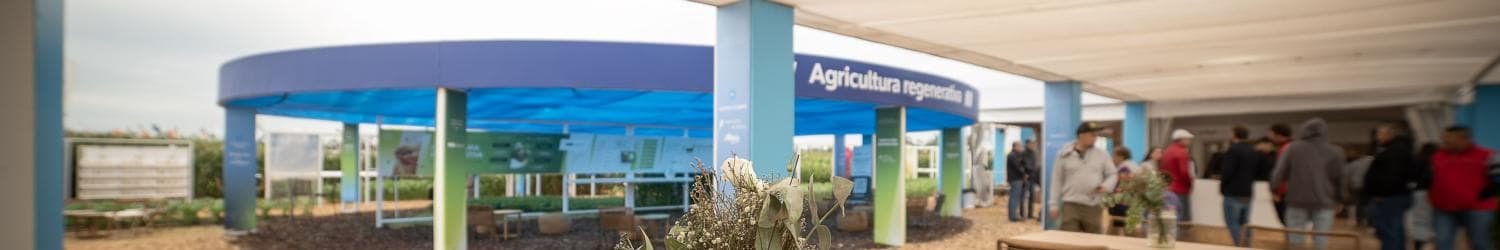 ExpoAgro 2025