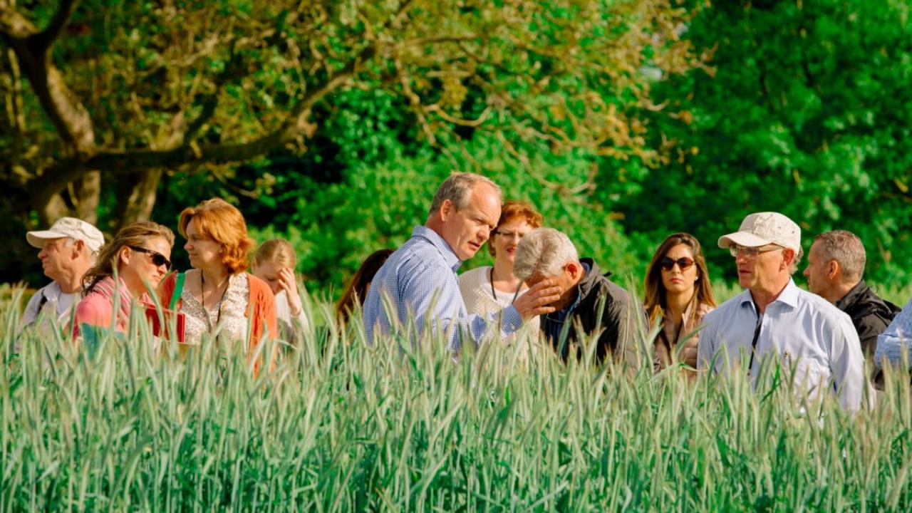 Un grupo de personas se encuentra en un exuberante campo verde, algunas con sombreros y gafas de sol, con árboles en el fondo.