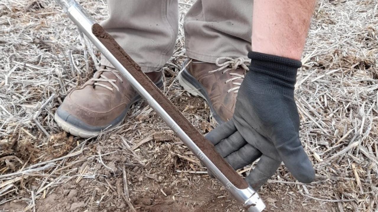 Persona que recoge una muestra de suelo con una sonda en un campo, vistiendo botas marrones y un guante negro.