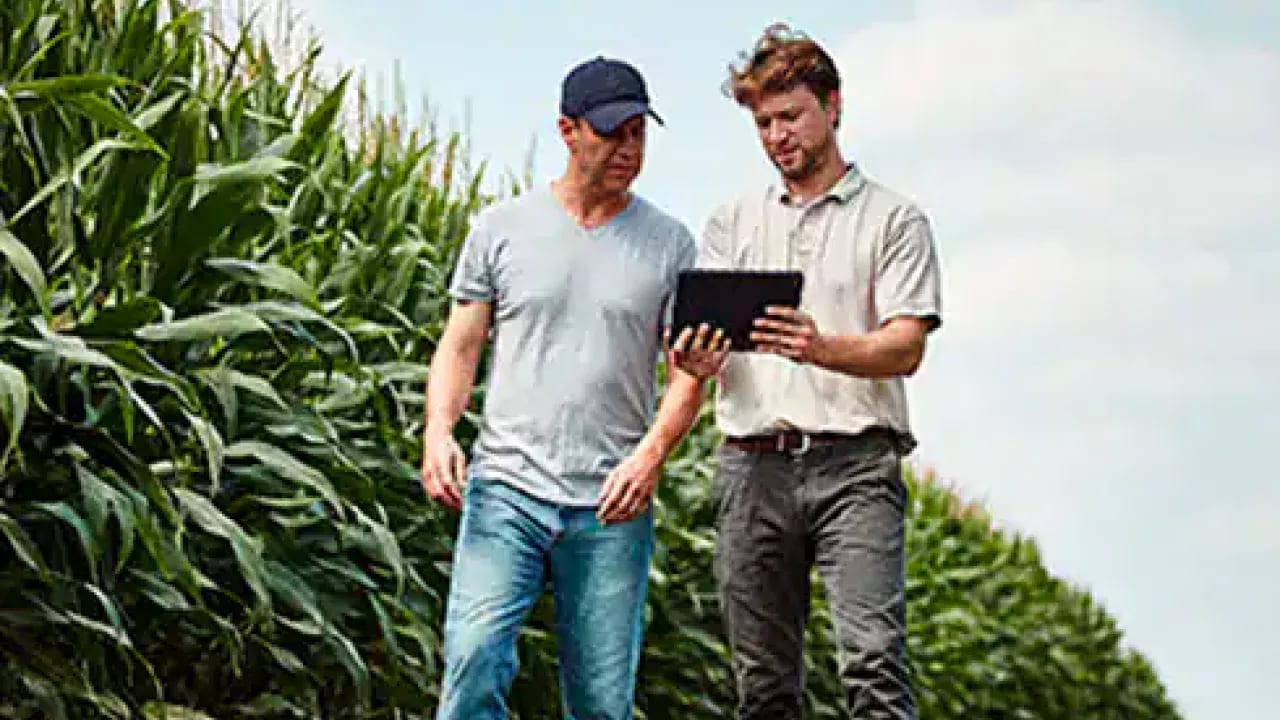productores-agricultures-campo