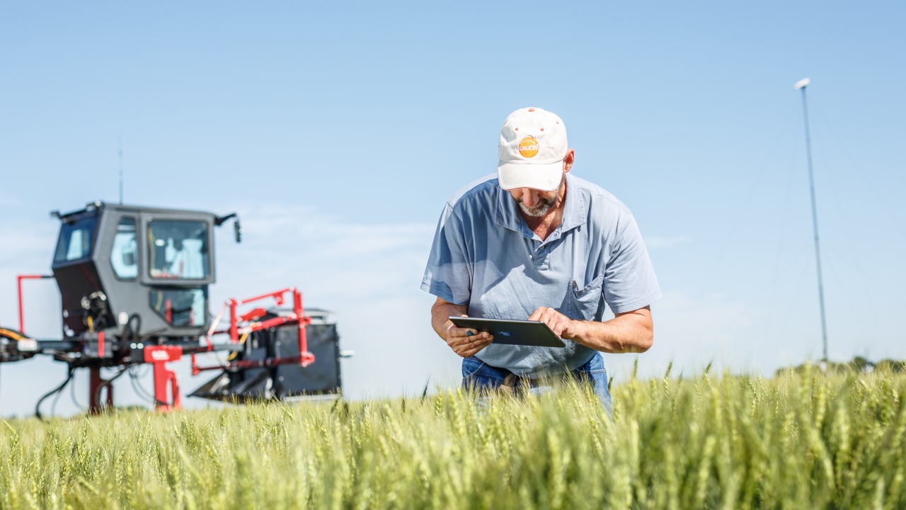 FieldView