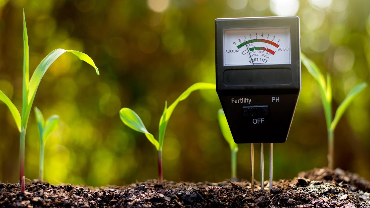 Innovación en el agro