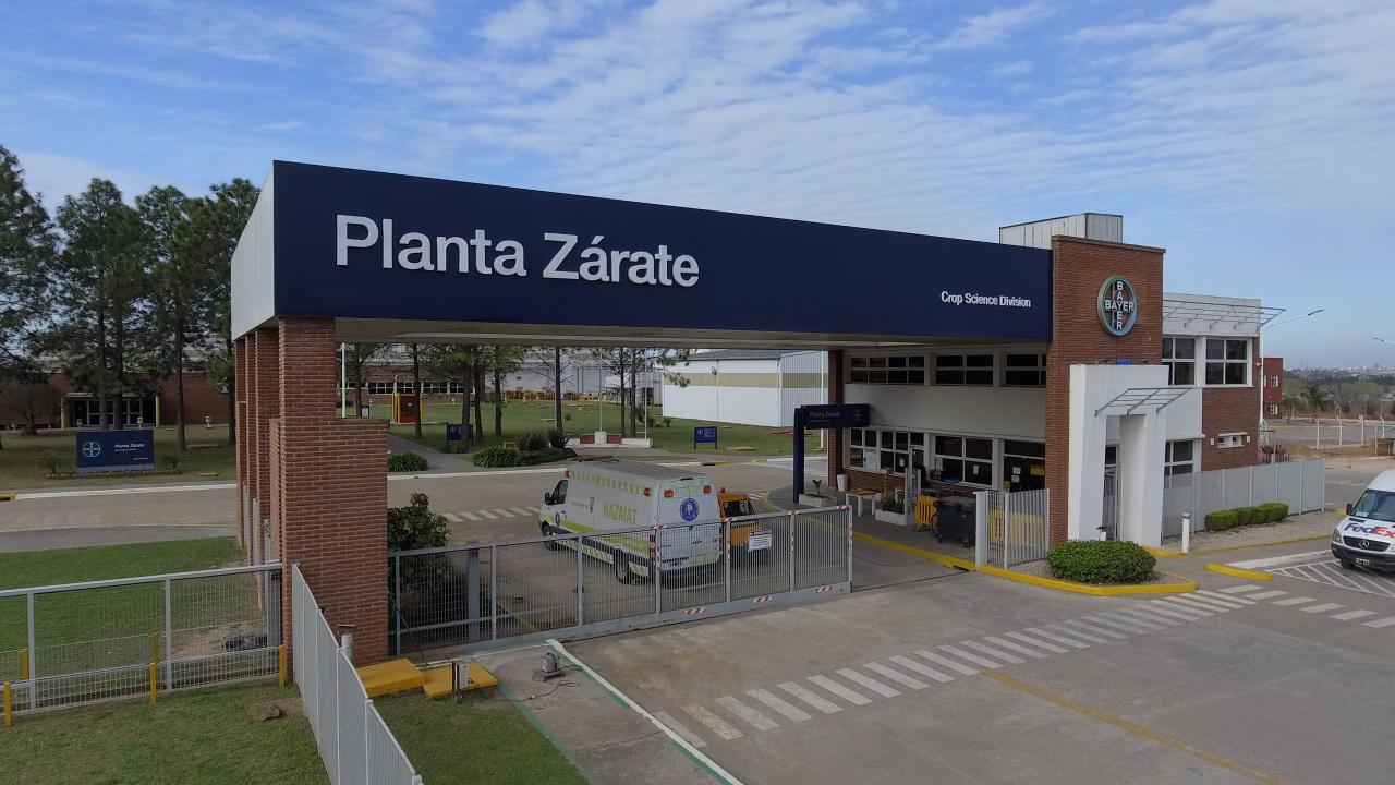 zarate