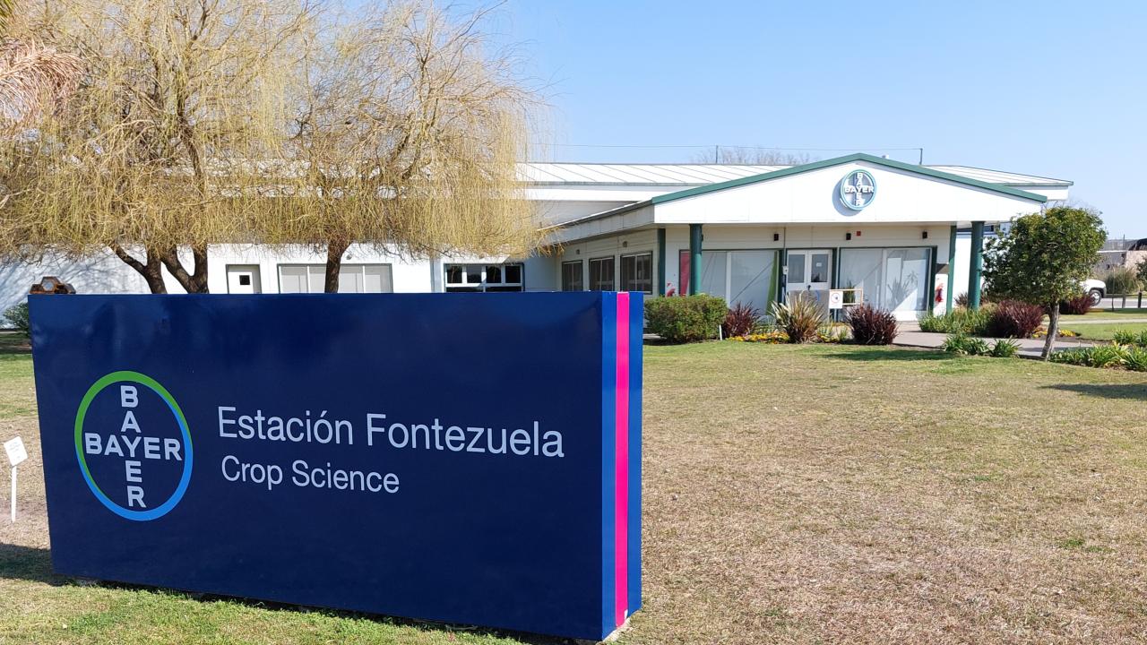 fonte