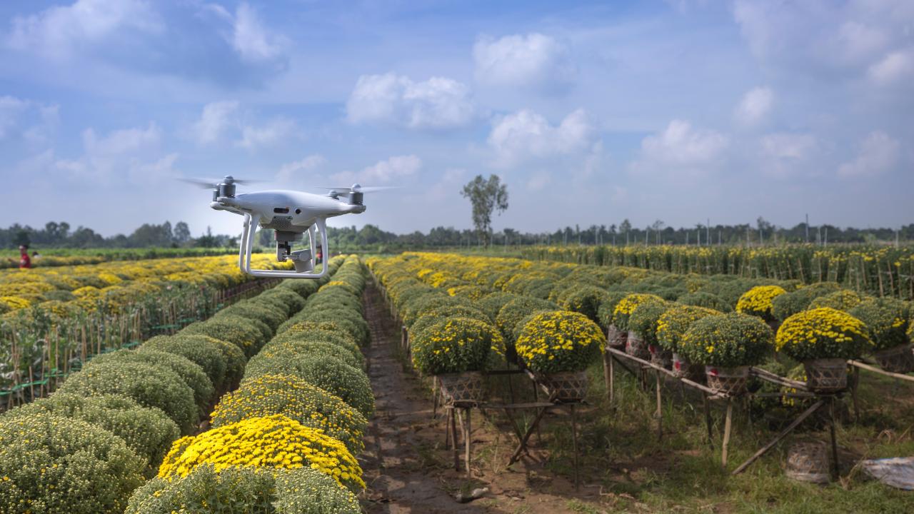 Drone campo