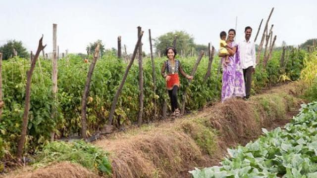 Una familia se encuentra en un exuberante huerto con una mujer y un niño a la izquierda y un hombre y una mujer sosteniendo a un niño a la derecha, rodeados de plantas verdes en un día nublado.