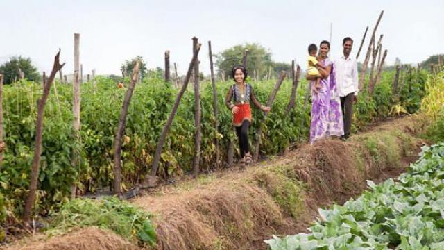 Una familia de cuatro personas se encuentra de pie sonriendo en un campo de vegetales verdes, con plantas enrejadas a la izquierda y cultivos frondosos a la derecha.