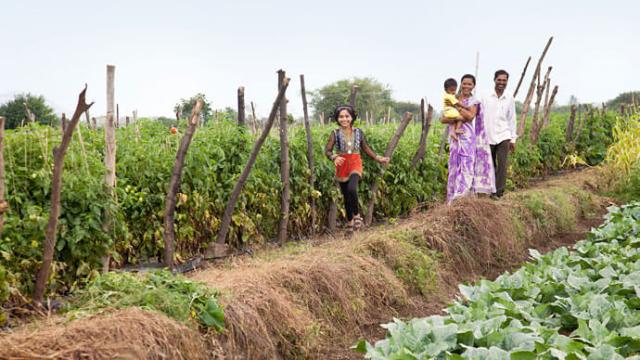 Una familia se encuentra en un exuberante huerto. Una mujer lleva a un niño en brazos, mientras otra mujer y un hombre están de pie cerca. Hileras de plantas y vegetación los rodean bajo un cielo despejado.