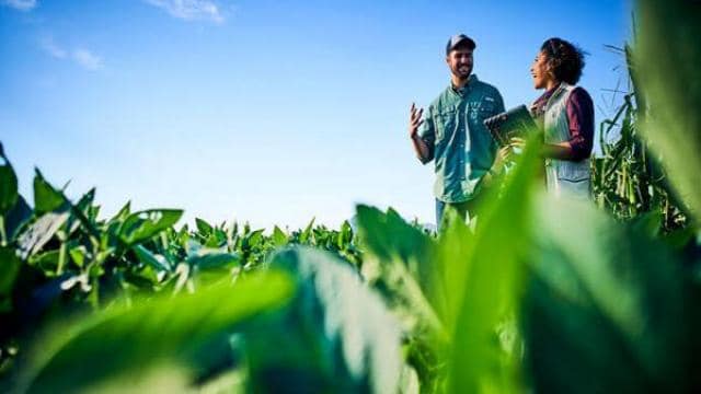 Dos personas están paradas en un campo verde bajo un cielo azul, discutiendo mientras una sostiene una tableta.