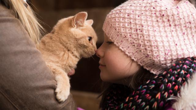 Una niña con un gorro y una bufanda de punto de color rosa toca suavemente la nariz de un gato pelirrojo que sostiene.