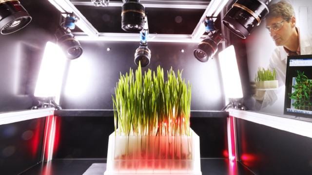 Entorno de laboratorio con un investigador que observa el análisis automatizado de muestras de plantas verdes utilizando tecnología de imágenes avanzada.