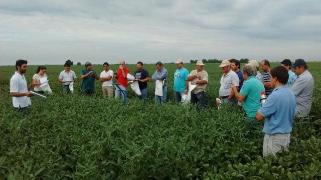 Un grupo de personas se encuentra de pie en un campo verde, algunas con cuadernos en la mano, escuchando a una persona hablar. El cielo está nublado.