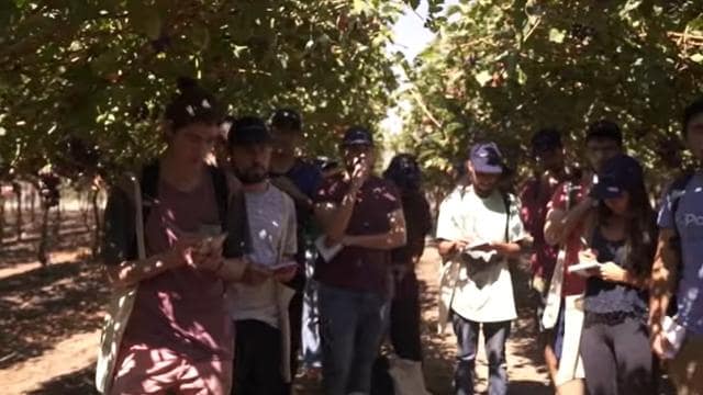 Un grupo de personas se encuentra de pie bajo unas vides, algunas tomando notas. Llevan ropa informal y sombreros. La luz del sol se filtra a través de las hojas de arriba.