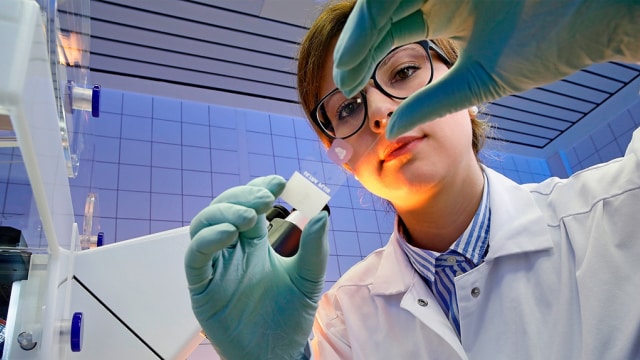 Un científico con bata y guantes de laboratorio examina un portaobjetos de muestra pequeño bajo una luz brillante en un entorno de laboratorio.