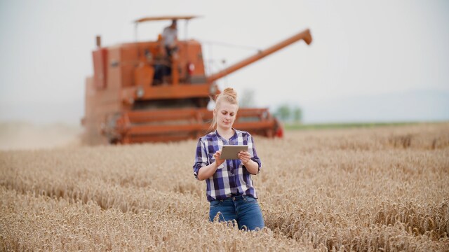 Una persona con una camisa a cuadros usa una tableta en un campo de trigo, con una cosechadora al fondo.