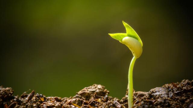 Sustentabilidad de triple impacto