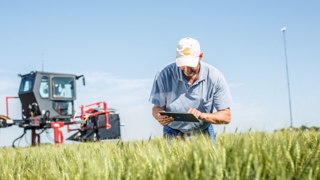 FieldView