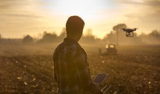 Innovación en el agro