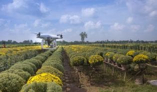 Drone campo