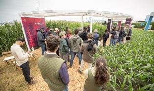 ExpoAgro 2025