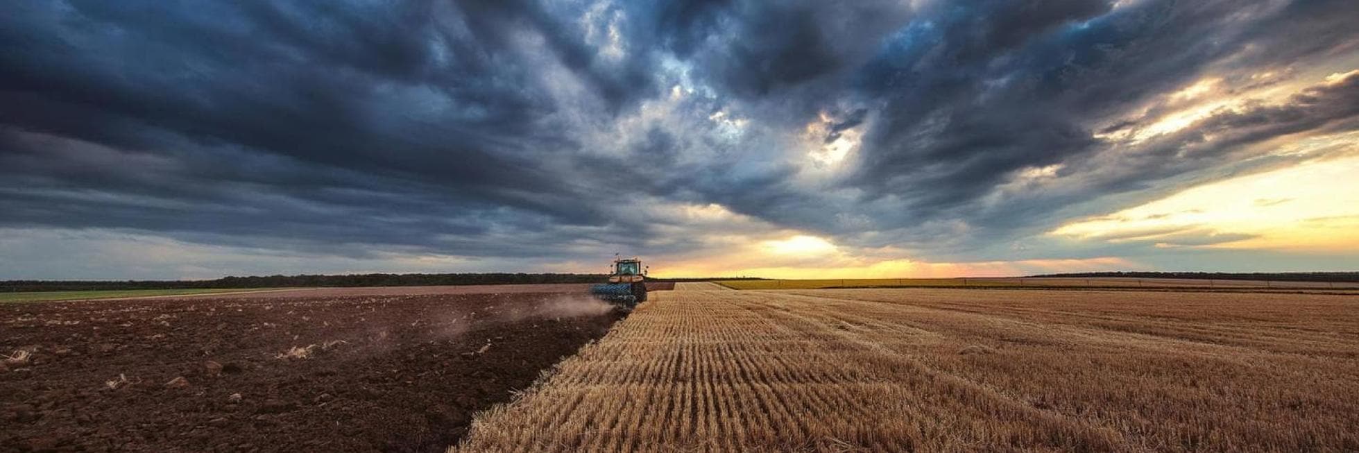 Un tractor ara un campo bajo un espectacular cielo nublado al atardecer, dividiendo una sección cultivada de otra cosechada.