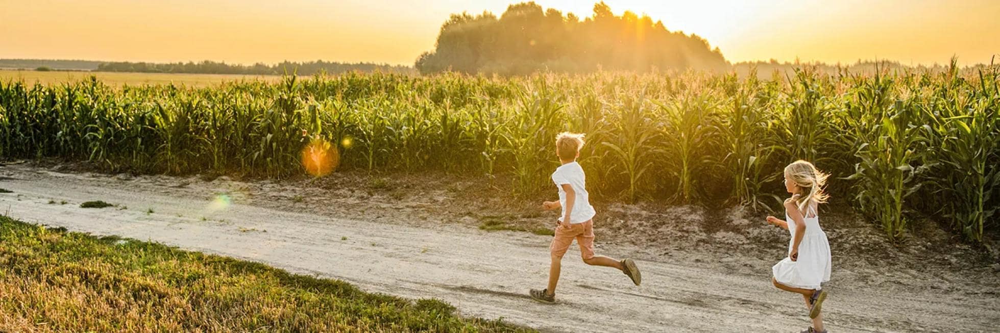 Dos niños corren por un camino de tierra cerca de un campo de maíz durante el atardecer.