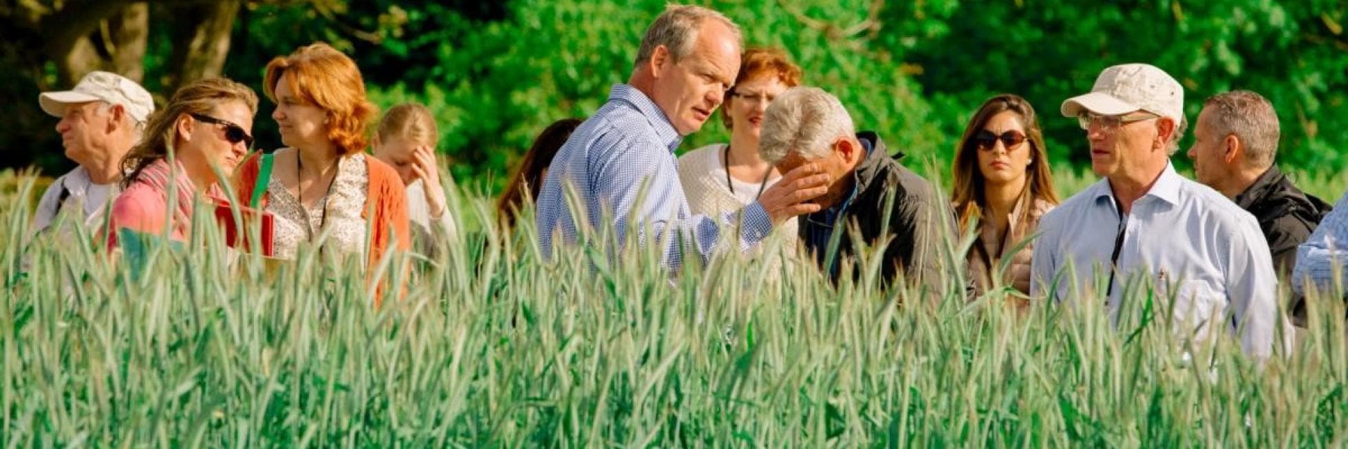 Un grupo de personas se encuentra de pie en un campo de hierba alta, conversando. Al fondo se ven árboles y vegetación.