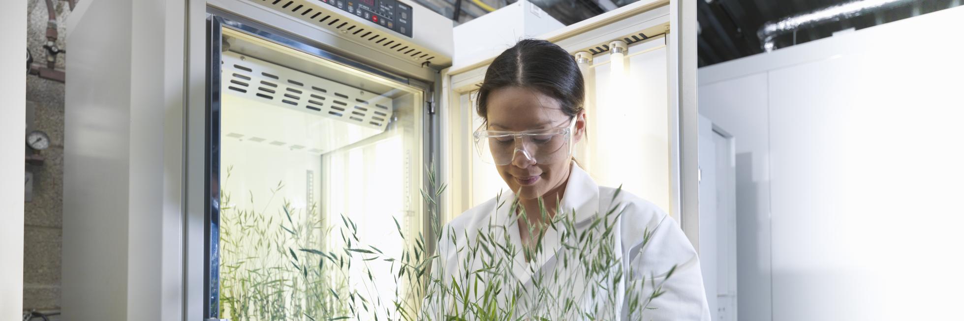 Cientifica plantas