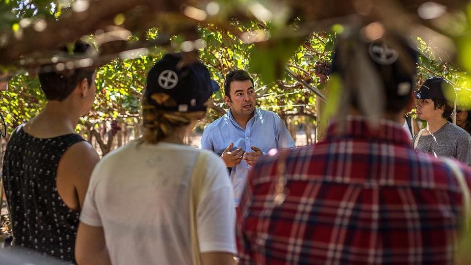 Una persona con una camisa azul habla con un grupo de personas bajo un dosel de follaje.
