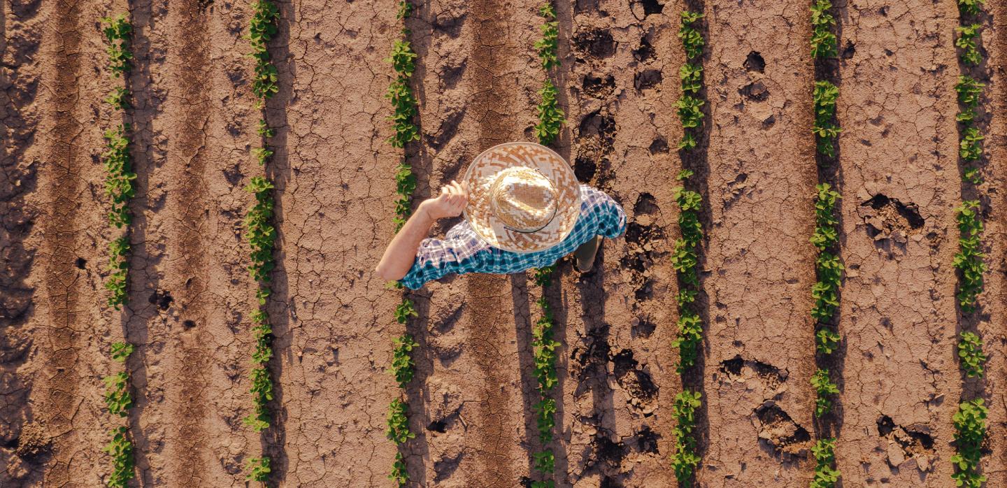 Pequeños productores